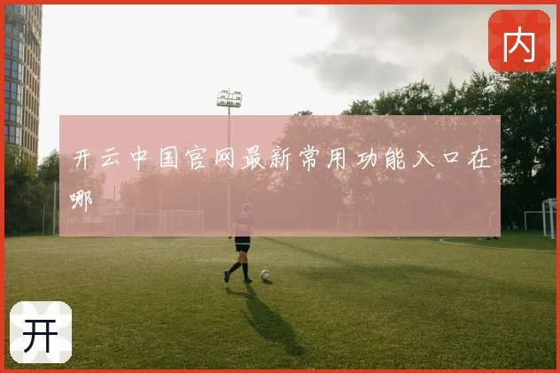 开云中国官网最新常用功能入口在哪